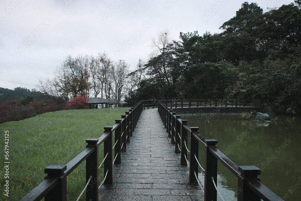 Forest and pond pathway