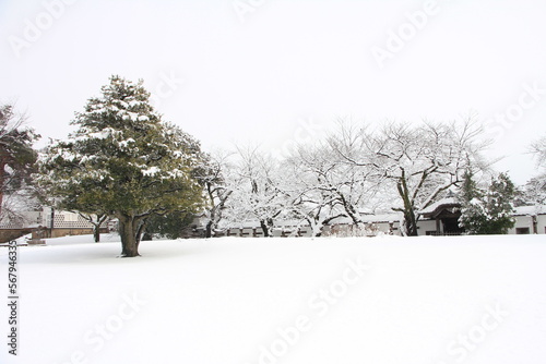 Beautiful Winter Scenery of Kanazawa Castle After Heavy Snowfall in Japan photo