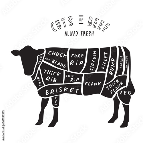 The Butcher cut of BEEF meat guide element