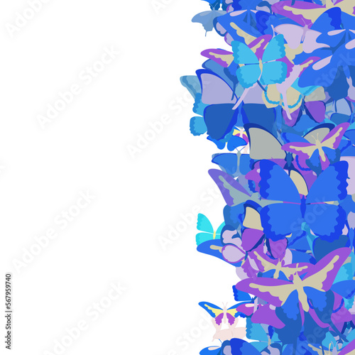 Background pattern abstract design texture. Vertical seamless stripe. Border frame, transparent background. Theme is about graphic, Butterfly, spring, wing, tropical, gorgeous, summer, vector