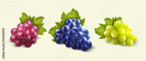 Realistic grape bunch, nature ripe berries different colors green and purple. Vineyard juicy fruits, 3d isolated elements, winery agriculture leaves, alcohol drinks. Vector isolated set