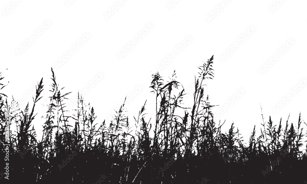 grass silhouette background vector  illustration