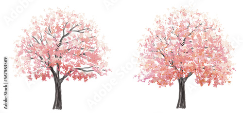 Vector watercolor blooming flower tree side view isolated on white background for landscape and architecture drawing, elements for environment and garden,botanical elements for section in spring 