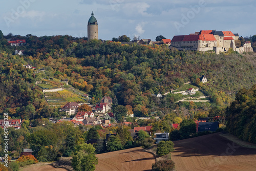 Blick vom Weinort Zscheiplitz auf die historische Weinbergstadt Freyburg/Unstrut mit der Neuenburg, Burgenlandkreis, Sachsen-Anhalt, Deutschland photo
