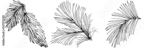 Wildflower fir-needle tree pattern in a one line style. Outline of the plant: Black and white engraved ink art needle. Sketch wild flower for background, texture, wrapper pattern, frame or border.