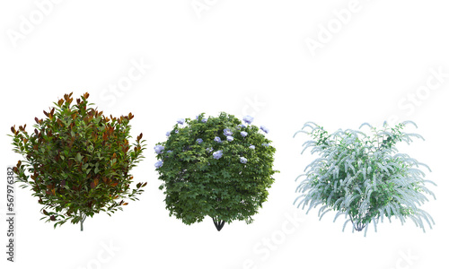 Red Robin Peony Virginia Sweetspire bush shrub set alpha channel no background