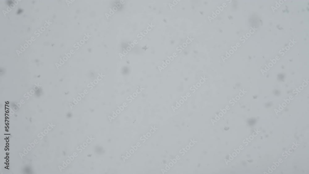 Slow motion snow falling over white clouds Slow motion snow falling over white clouds