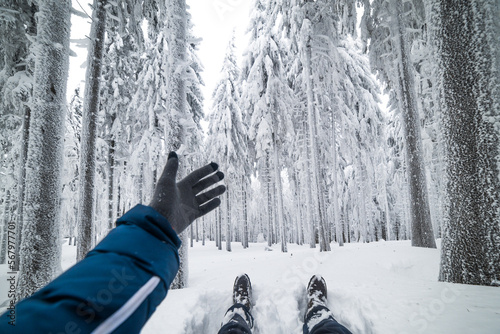 Pointing Hand Sitting in the Snow in the Forest photo