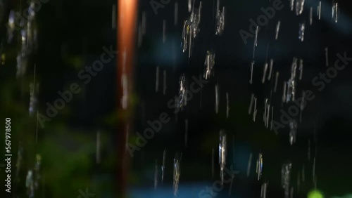 A Stunning 4k Video of a rain lightning storm properly coming down in an urban residential area of Johannesburg in South Africa.
Evokes a calming tranquil feel to hear the rain falling and dripping
