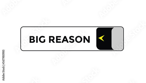 Big reason button web banner templates. Vector Illustration
