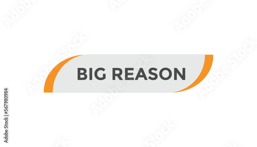 Big reason button web banner templates. Vector Illustration
