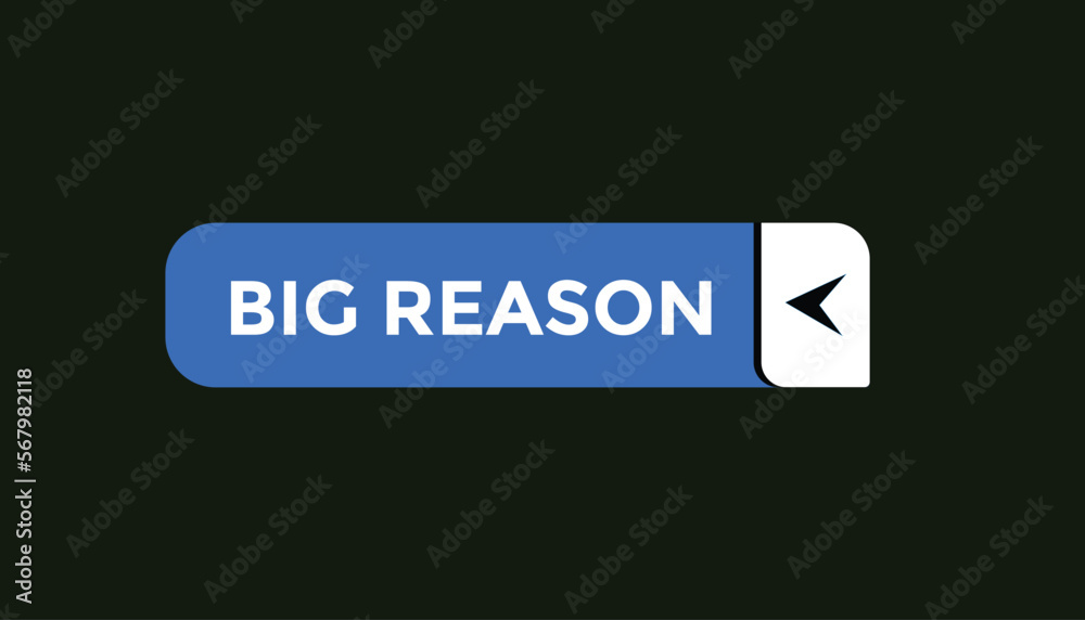 Big reason button web banner templates. Vector Illustration
