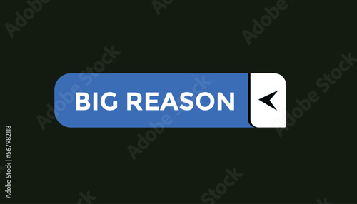 Big reason button web banner templates. Vector Illustration
