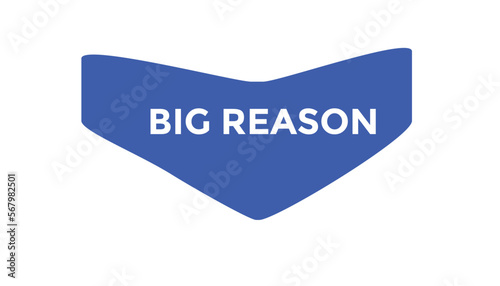 Big reason button web banner templates. Vector Illustration

