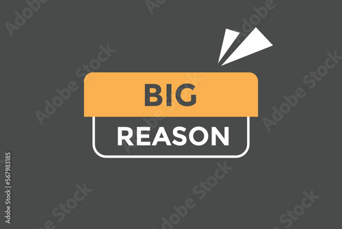 Big reason button web banner templates. Vector Illustration
