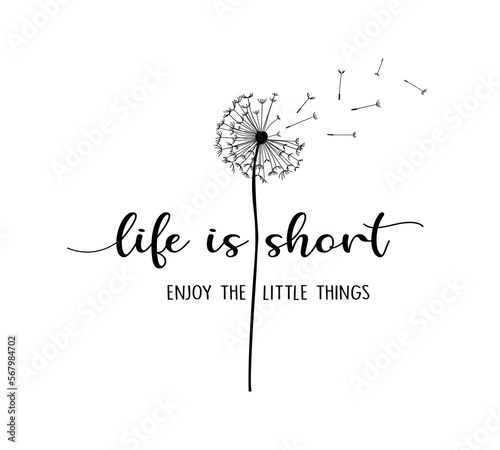 Decorative slogan with cute dandelion illustration, vector design for fashion, poster, card and sticker prints