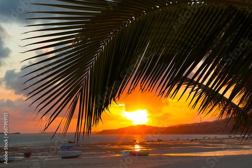 Canvas-taulu Palmes sur coucher de soleil , île Rodrigues