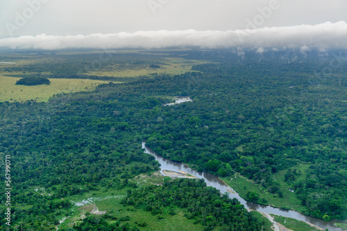 Aerial view. Odzala-Kokoua National Park. Cuvette-Ouest Region. Republic of the Congo