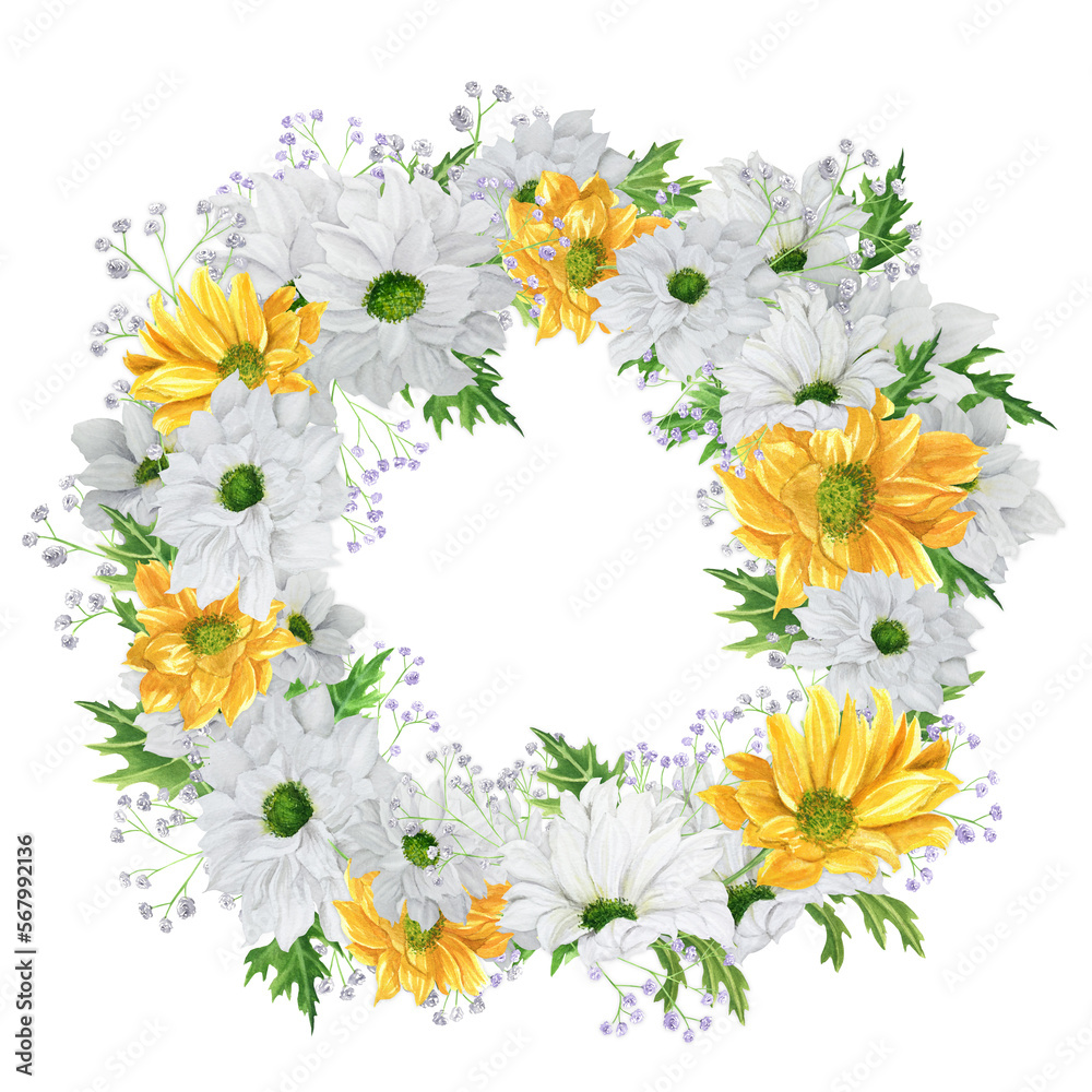 Fototapeta premium Hand-drawn watercolor wreath with white and yellow chrysanthemum with gypsophila