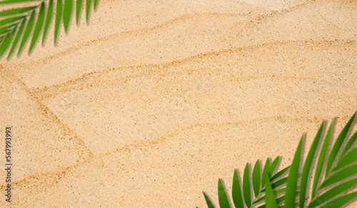 Sand texture backgrond.Top view blurry coconut palm leaves on Sandy beach,Natural sand stone texture with wave,Brown Beach sand dune in sunny day,Banner for Summer Product  presentation