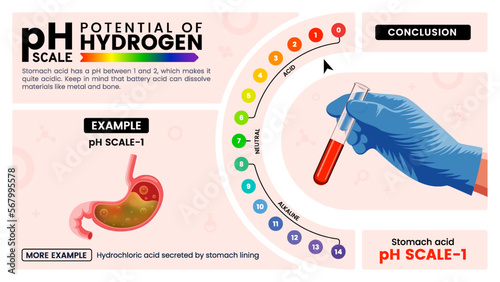 pH scale one properties, calculation and examples - Vector illustration
