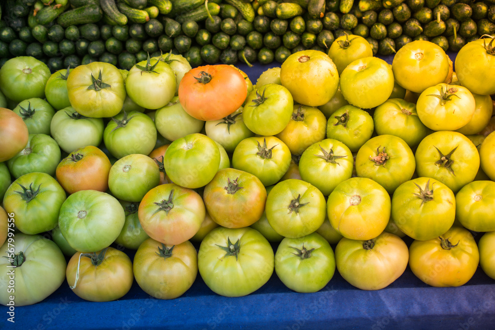 Green unripe fresh tomato vegetables in bazaar market Green unripe fresh tomato vegetables in bazaar market