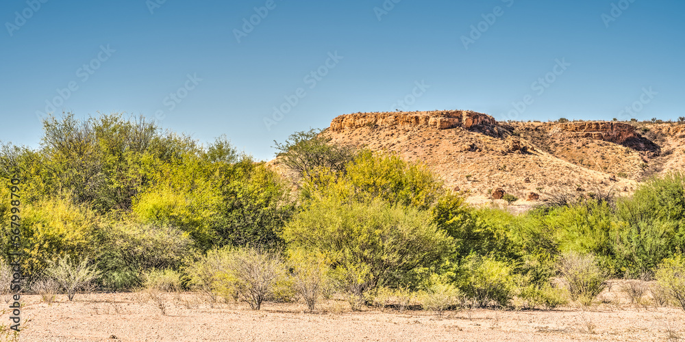 Auob River Valley, Kalahari desert, Namibia