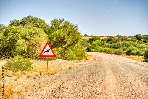 Auob River Valley, Kalahari desert, Namibia photo