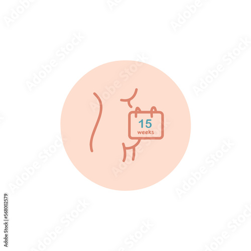 15 weeks pregnant icon. Fifteen weeks of pregnancy calendar icon in vector. Four months pregnant woman sign. Pregnancy week by week.