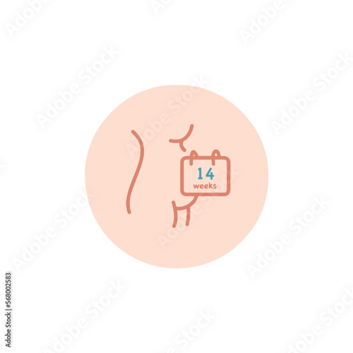 14 weeks pregnant icon. Fourteen weeks of pregnancy calendar icon in vector. Four months pregnant woman sign. Pregnancy week by week.