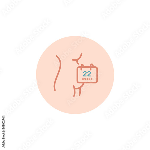 Twenty-two weeks pregnant icon. 22 weeks of pregnancy calendar icon in vector. Five months pregnant woman sign. Pregnancy week by week.