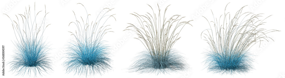 Blue long feather grassy field cutout transparent backgrounds 3d illustration png Blue long feather grassy field cutout transparent backgrounds 3d illustration png