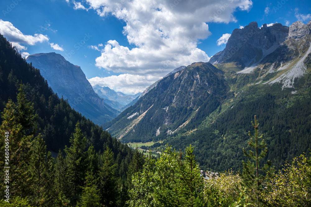 Mountains and forest landscape in French alps