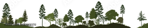 Forest silhouette trees. Vector illustration of every tree isolated. Evergreen forest side view green shadow, for seamless border, architecture and landscape design drawing. 