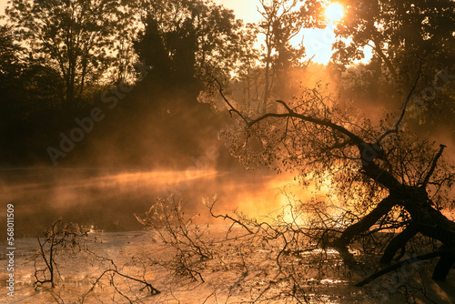 Mystic river scenery with fog and golden morning light. photo