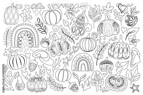 Big Collection of Autumn Plants  Pumpkins Designs. Rainbows  Apple  Pear  Acorns  Lot of Leaves and Deco Elements. Elegant Natural Motifs. Coloring Book Page. Vector Illustration