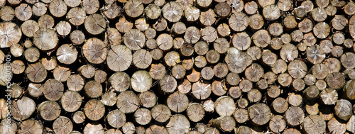 sawn tree trunks of different sizes arranged in a large pile,background,