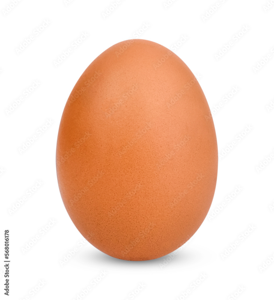 Chicken Egg isolated on white background Chicken Egg isolated on white background