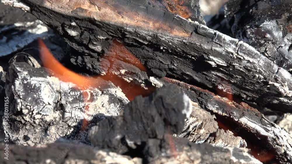 Fire Flames, Burning Wood Fire and Smoke, Air Pollution Ash Closeup Fire Flames, Burning Wood Fire and Smoke, Air Pollution Ash Closeup