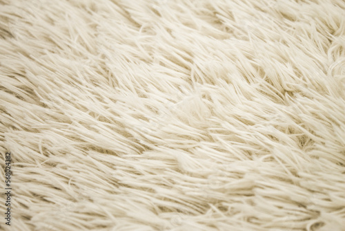 Fur Texture, Wool background Black and white colour