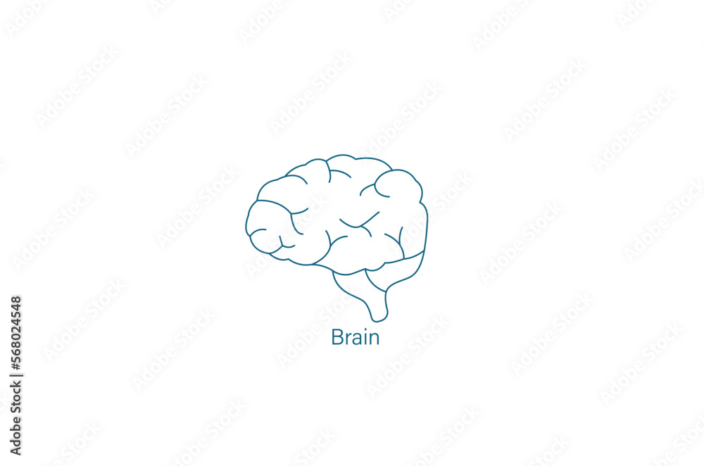Brain line icon vector illustration Brain line icon vector illustration