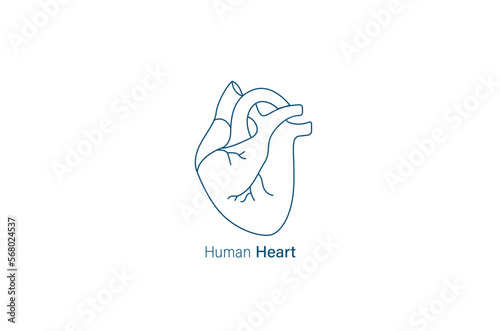 Human heart line icon vector illustration 