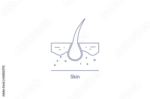 skin line icon vector illustration  photo