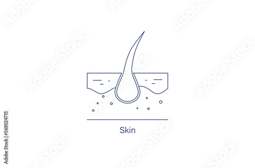 skin line icon vector illustration 