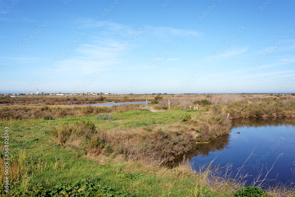Oyster farm and swamp near Ars-en-Ré village. Ile de Ré island Oyster farm and swamp near Ars-en-Ré village. Ile de Ré island