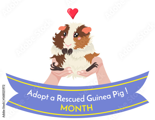 March is Adopt a rescued guinea pig month. Happy cavy sitting in the 
palms