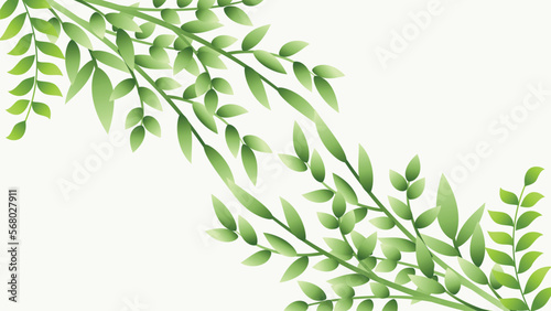abstract leaves background design.green leaves on white background