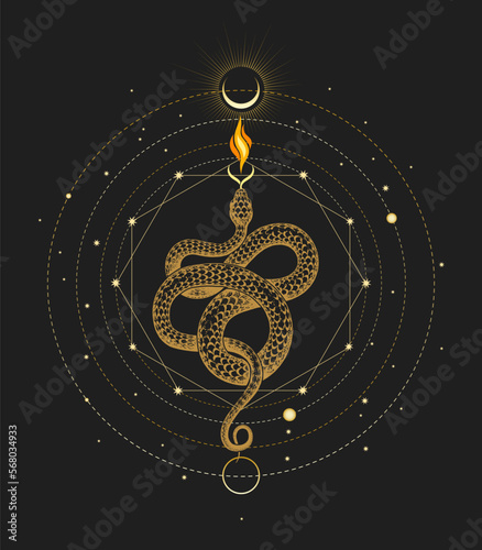 Snake of Wisdom and Sacred Geometry Esoteric Illustration