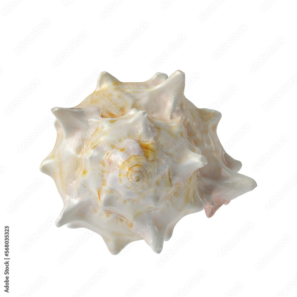 Sea shell isolated transparent background 3d rendering