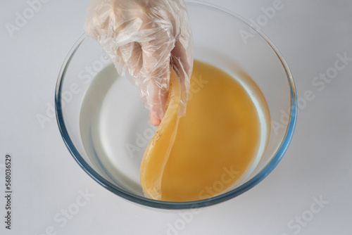 A person puts a scoby or fungus in a glass bowl of water to wash the tea mushroom for fermentation. Preparing a healthy kombucha drink. photo